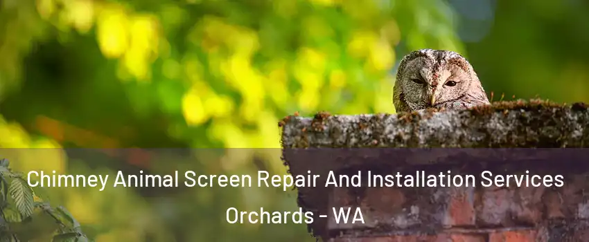  Chimney Animal Screen Repair And Installation Services Orchards - WA
