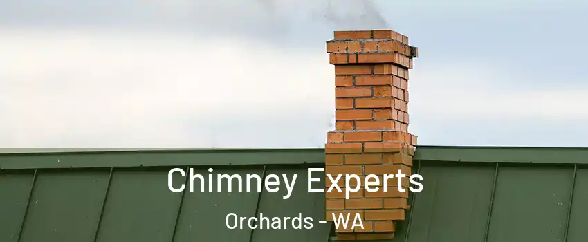  Chimney Experts Orchards - WA