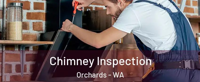 Chimney Inspection Orchards - WA