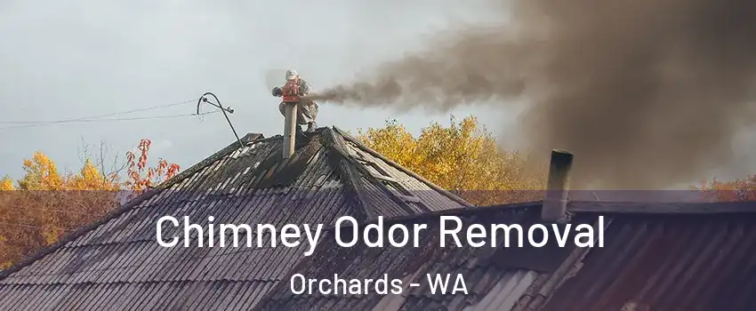  Chimney Odor Removal Orchards - WA