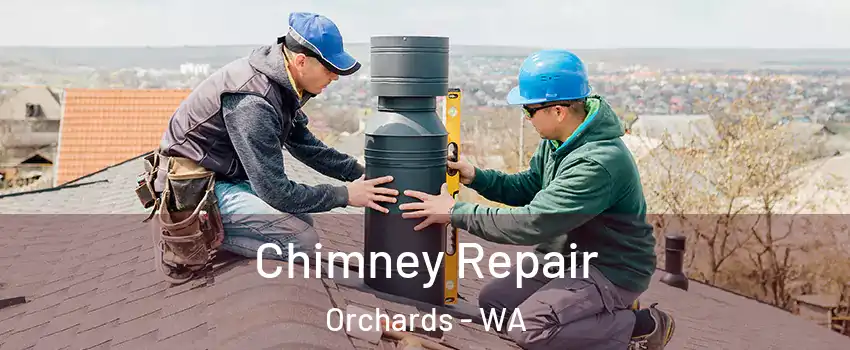  Chimney Repair Orchards - WA