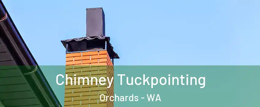  Chimney Tuckpointing Orchards - WA