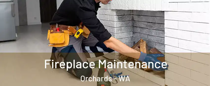  Fireplace Maintenance Orchards - WA