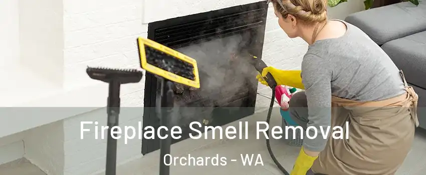 Fireplace Smell Removal Orchards - WA