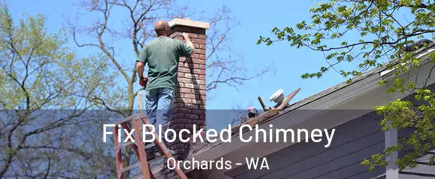  Fix Blocked Chimney Orchards - WA