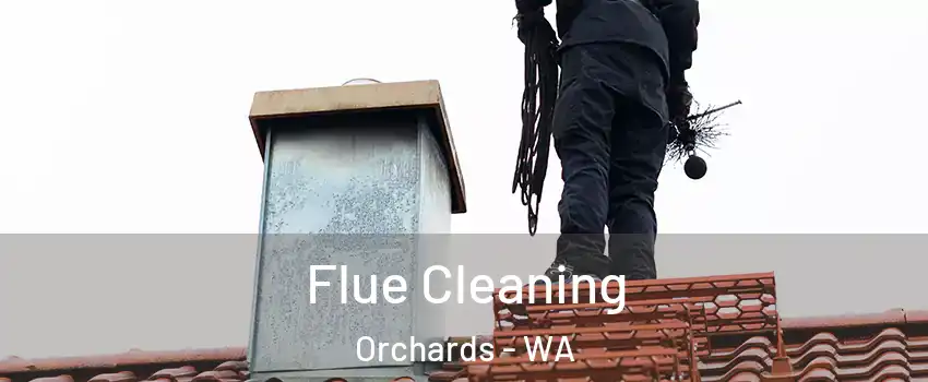  Flue Cleaning Orchards - WA