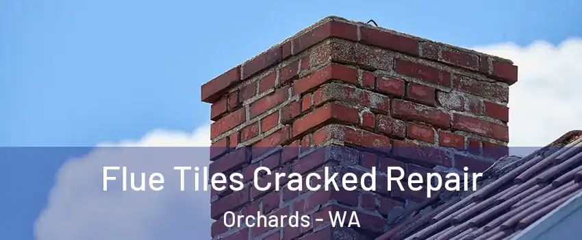  Flue Tiles Cracked Repair Orchards - WA