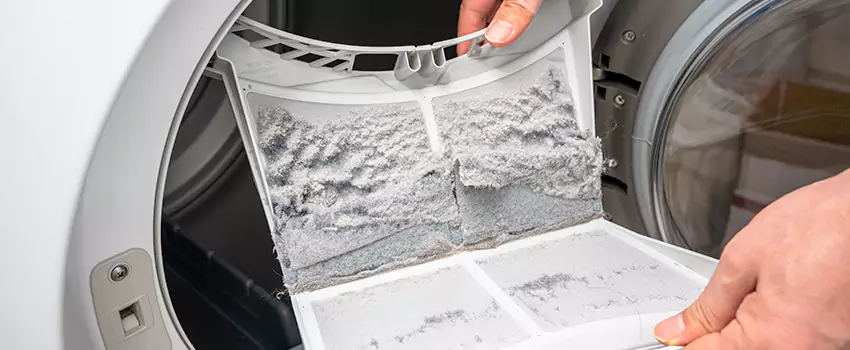 Best Dryer Lint Removal Company in Orchards, Washington