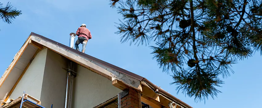 Birds Removal Contractors from Chimney in Orchards, WA