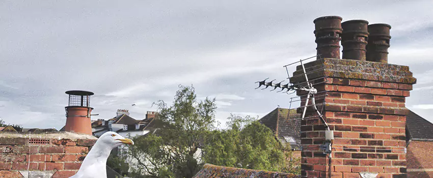 Chimney Cleaning And Restoration in Orchards, Washington