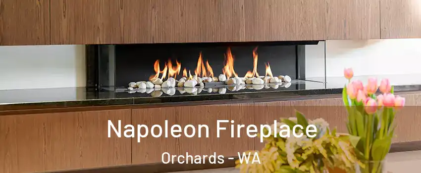  Napoleon Fireplace Orchards - WA